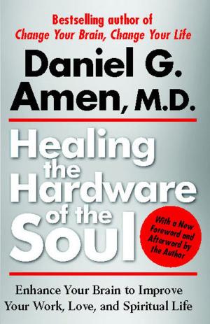 Cover of Healing the Hardware of the Soul