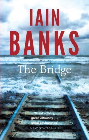 Cover of the book The Bridge by João Medeiros