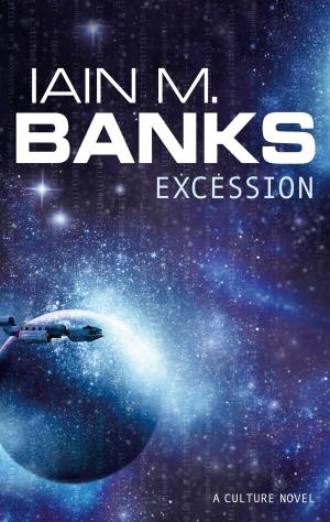 Cover of the book Excession by Barbara Cardy