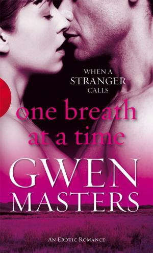 Cover of the book One Breath at a Time by Sian Lacey Taylder