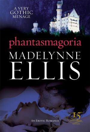 Cover of the book Phantasmagoria by Alex Montgomery