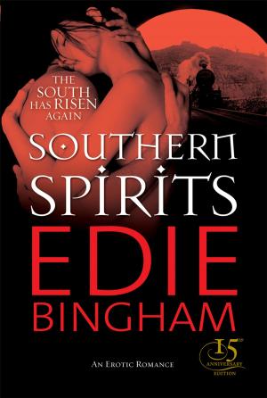 Cover of the book Southern Spirits by Wilfried de Jong