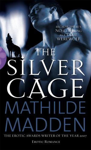 Cover of the book The Silver Cage by Ian Pearce