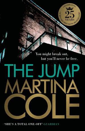 Cover of the book The Jump by Sarah Monk