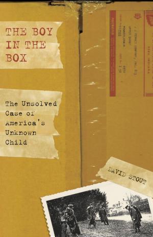 Cover of the book Boy in the Box by Frank Weller