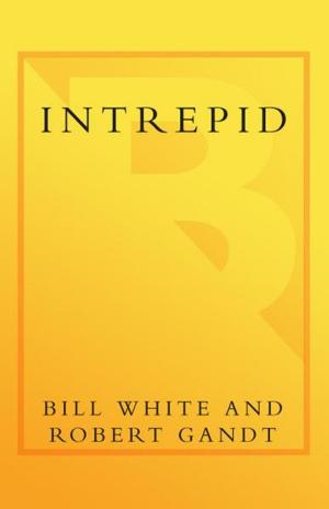 Cover of the book Intrepid by Victoria Washuk