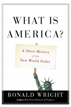 Cover of the book What Is America? by Trish Kuffner