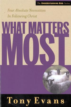 Cover of the book What Matters Most by Joe Musser