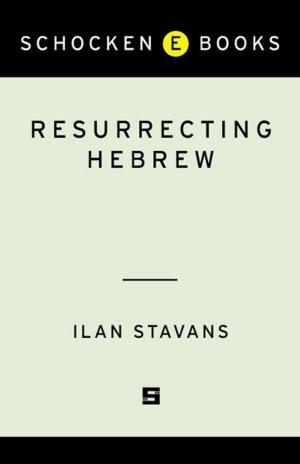 Book cover of Resurrecting Hebrew