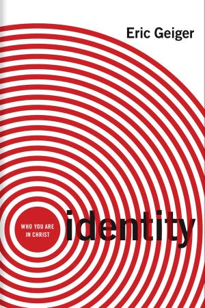 Cover of the book Identity by Amy Lillard