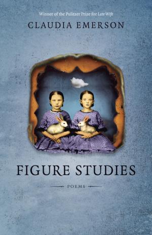 Cover of the book Figure Studies by Bryan Giemza