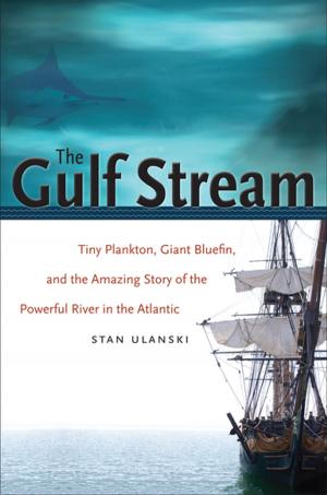 Cover of the book The Gulf Stream by James Hudnut-Beumler