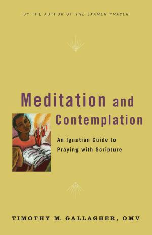 Cover of the book Meditation and Contemplation by Dr Kwaku S Darkwa