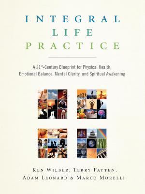 Book cover of Integral Life Practice