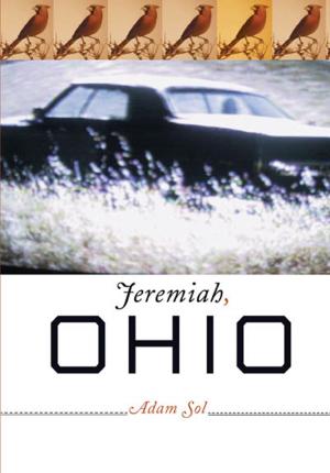 Cover of the book Jeremiah, Ohio by Anosh Irani