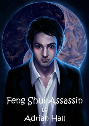 Cover of the book Feng Shui Assassin by I.F Rowan