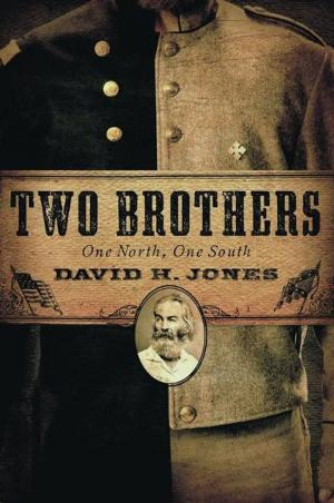Book cover of Two Brothers: One North, One South
