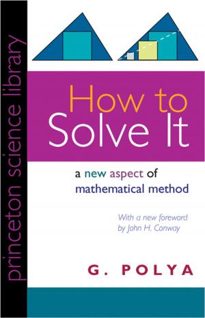 Cover of the book How to Solve It by David A. Baldwin