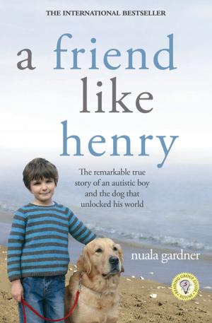 bigCover of the book A Friend Like Henry by 