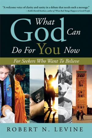 Cover of the book What God Can Do for You Now by Mark de Castrique