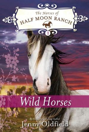 Cover of the book Wild Horses by Mara Goodman-Davies
