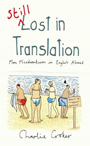 Book cover of Still Lost in Translation