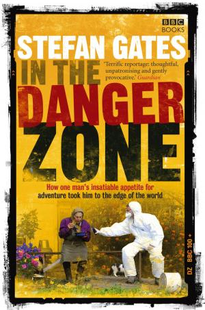 Cover of the book In the Danger Zone by Dr Meg John Barker, Professor Jacqui Gabb