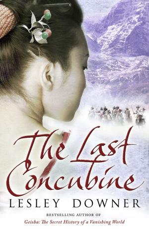 Book cover of The Last Concubine