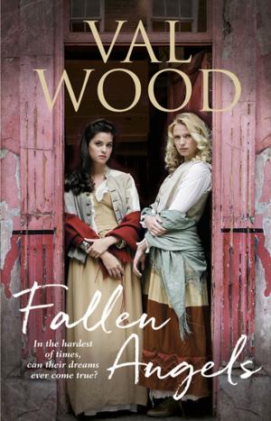 Cover of the book Fallen Angels by Transworld