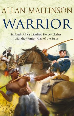Cover of the book Warrior by Matthew Todd