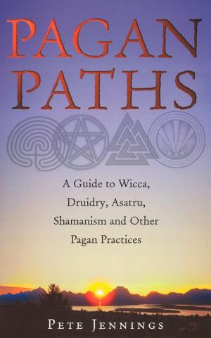 Cover of the book Pagan Paths by Christopher Winn