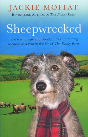 Cover of the book Sheepwrecked by Jilly Cooper OBE