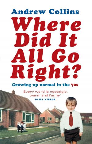 Cover of the book Where Did It All Go Right? by Mick Foster, Tony Allen