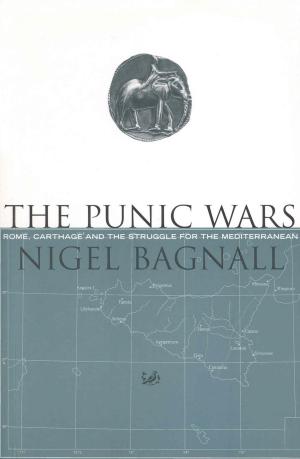Book cover of The Punic Wars