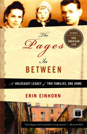 Cover of the book The Pages In Between by Henry Hook