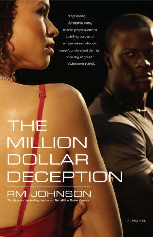bigCover of the book The Million Dollar Deception by 