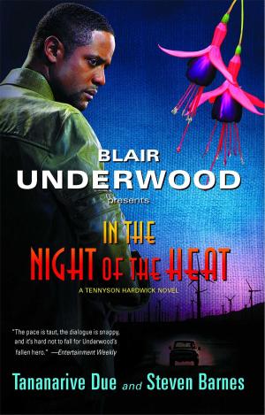 Cover of the book In the Night of the Heat by Demetria L. Lucas