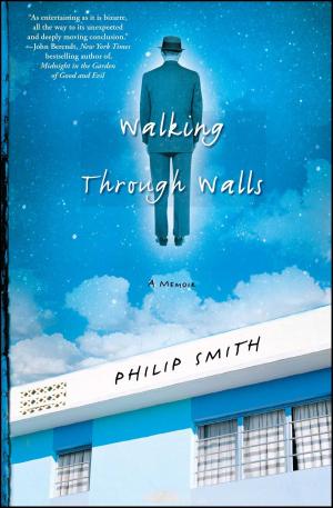 Cover of the book Walking Through Walls by Hari Prasad Shastri