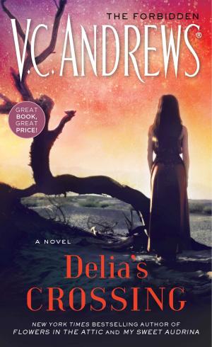 Cover of the book Delia's Crossing by Rob Hedden