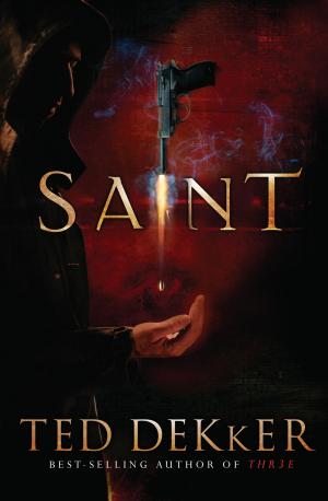 Cover of the book Saint by John C. Maxwell
