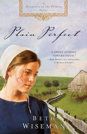 Cover of the book Plain Perfect by Kathleen Fuller
