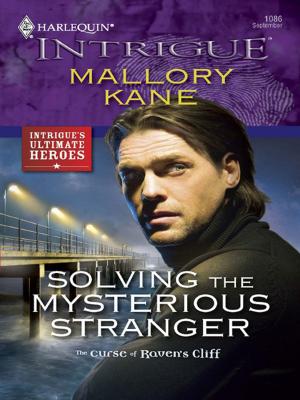 Cover of the book Solving the Mysterious Stranger by Kimberly Van Meter