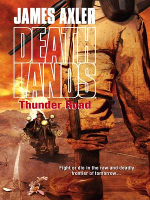 Cover of the book Thunder Road by Don Pendleton
