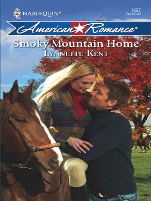 Cover of the book Smoky Mountain Home by Daire St. Denis