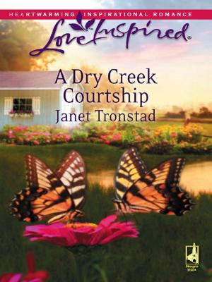Cover of the book A Dry Creek Courtship by Judy Baer