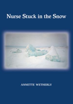 Cover of the book Nurse Stuck in the Snow by Maggie Hinton