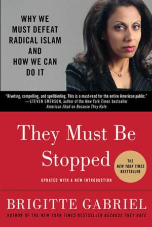 Cover of the book They Must Be Stopped by Brian Freeman