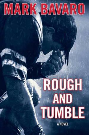 Cover of the book Rough & Tumble by Baolin Wu, Jessica Eckstein