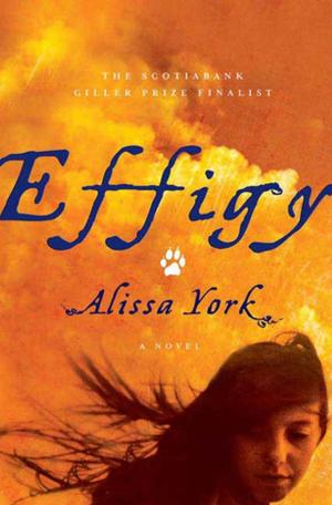Book cover of Effigy