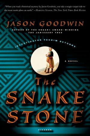 Cover of the book The Snake Stone by Matt Kirkby
